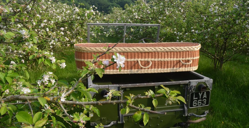 Land Rover in Blossom